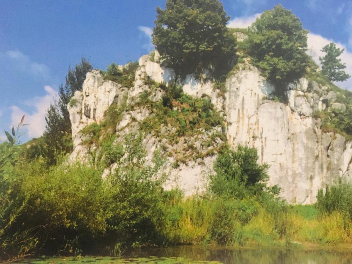 Pokoje W Starej Karczmie Liszki Εξωτερικό φωτογραφία
